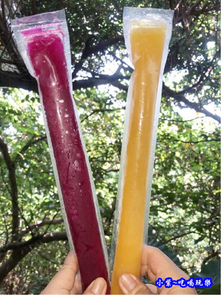 小琉球美食-允好嘉棒棒冰3.jpg