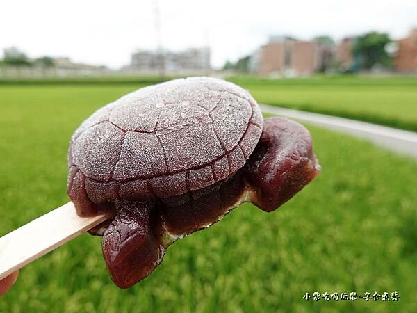 桑椹海龜冰棒-允好嘉  (2).jpg