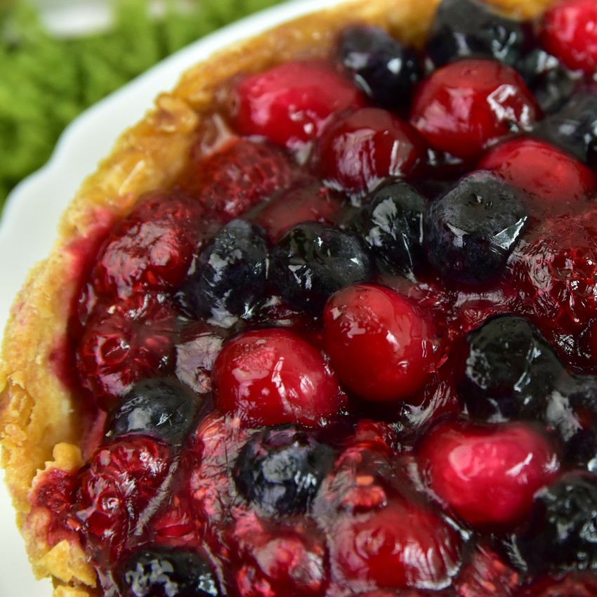 「南投清境農場野餐趣」藍天白雲綠地＋超可愛羊咩咩伴食超好吃的乳酪蛋糕！知名芒果＋莓果乳酪塔整個大滿足！
