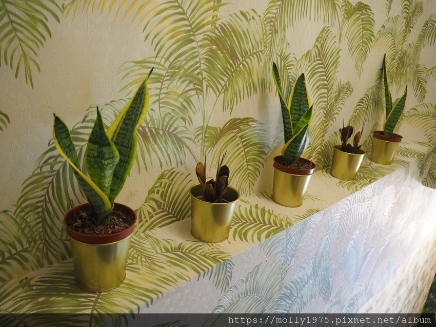 2019-08-31 14.24.19.jpg