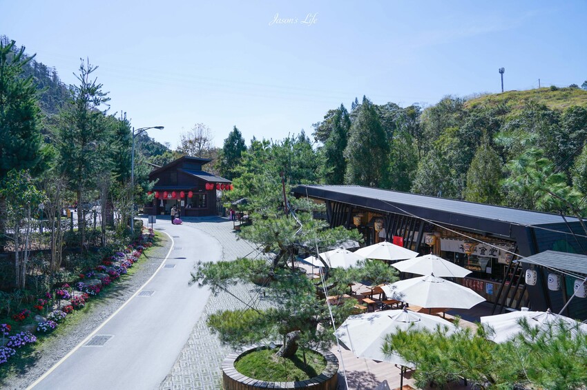 【南投魚池｜景點】HOHOCHA喝喝茶。南投茶葉伴手禮，可免費體驗品茶及茶葉蛋，還有隱藏櫻花步道