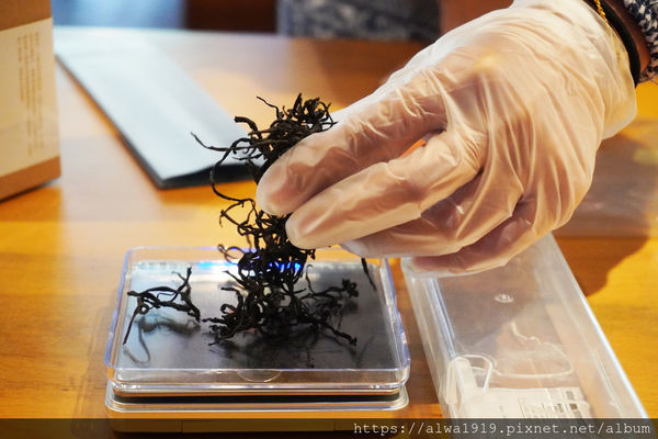 DSC05686.JPG DSC05686.JPG