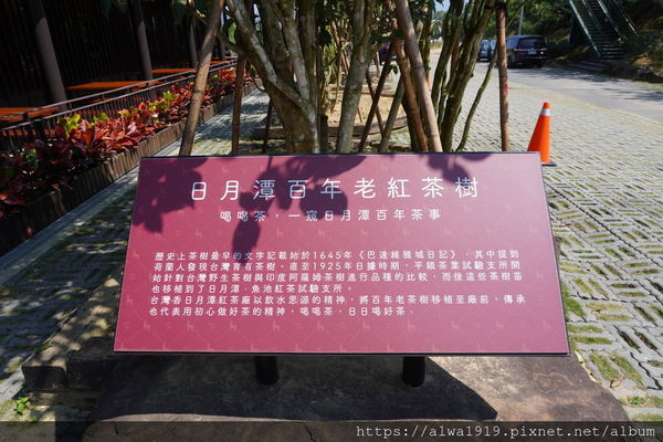 DSC05459.JPG DSC05459.JPG