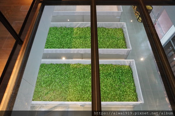 DSC05635.JPG DSC05635.JPG