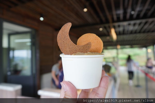 DSC05731.JPG DSC05731.JPG