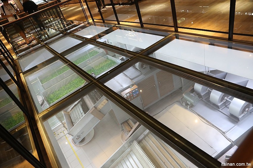 南投景點|HOHOCHA喝喝茶·台灣香日月潭紅茶廠~紅茶導覽、揉茶DIY、Pizza DIY、黃金品茗、混茶初體驗!玩上一整天也沒問題! - 台南好Food遊