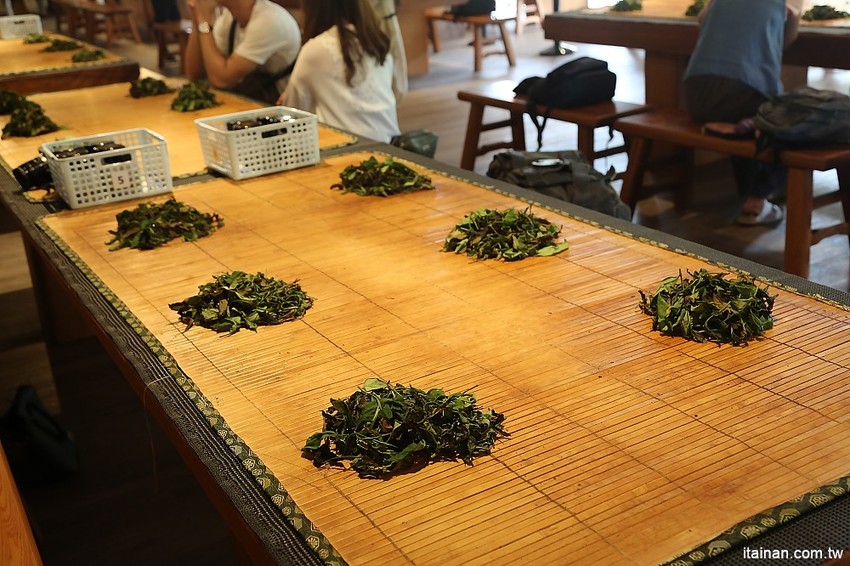 南投景點|HOHOCHA喝喝茶·台灣香日月潭紅茶廠~紅茶導覽、揉茶DIY、Pizza DIY、黃金品茗、混茶初體驗!玩上一整天也沒問題! - 台南好Food遊