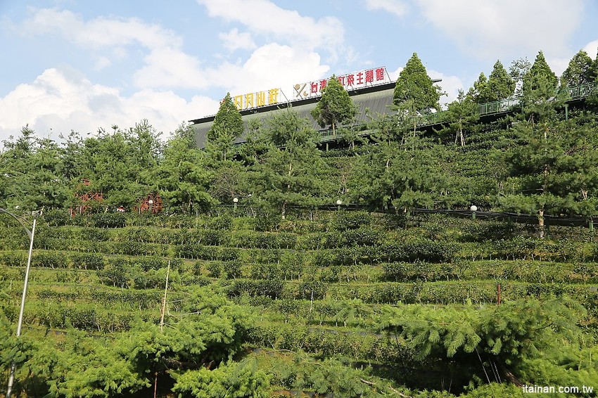 南投景點|HOHOCHA喝喝茶·台灣香日月潭紅茶廠~紅茶導覽、揉茶DIY、Pizza DIY、黃金品茗、混茶初體驗!玩上一整天也沒問題! - 台南好Food遊