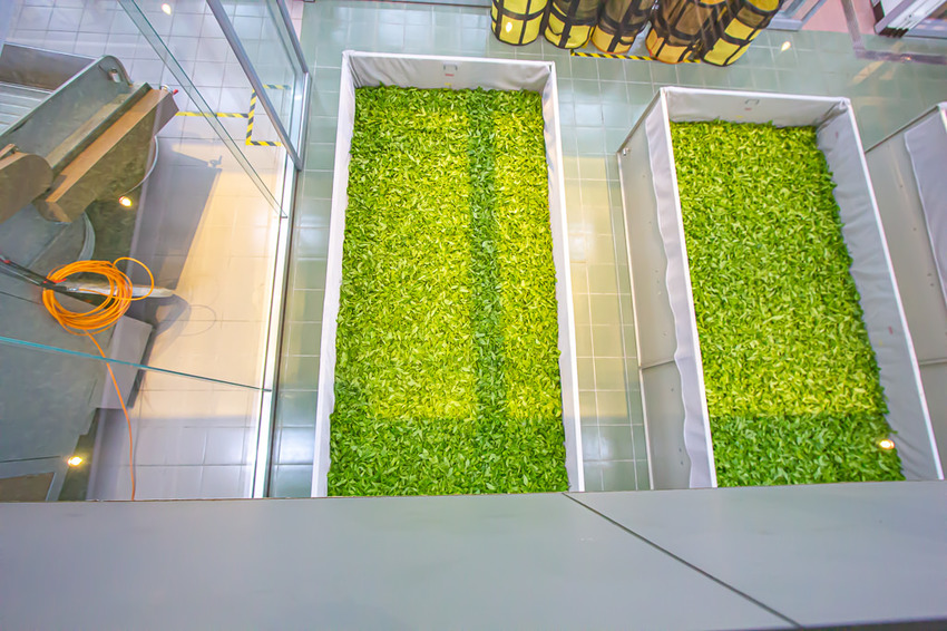 南投景點，HOHOCHA喝喝茶~台灣香日月潭紅茶廠，全台最大紅茶觀光工廠!免門票入園奉茶，吃吃喝喝DIY，還能拍拍美照很不賴。 - 微笑Joe幸運