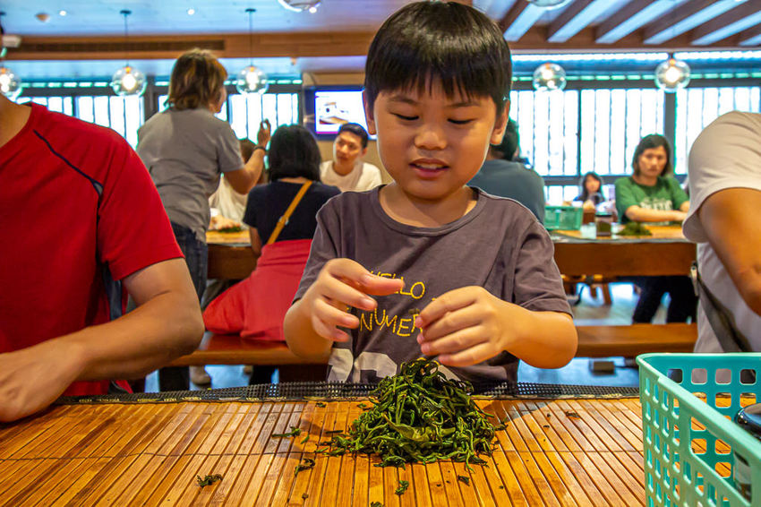 南投景點，HOHOCHA喝喝茶~台灣香日月潭紅茶廠，全台最大紅茶觀光工廠!免門票入園奉茶，吃吃喝喝DIY，還能拍拍美照很不賴。 - 微笑Joe幸運