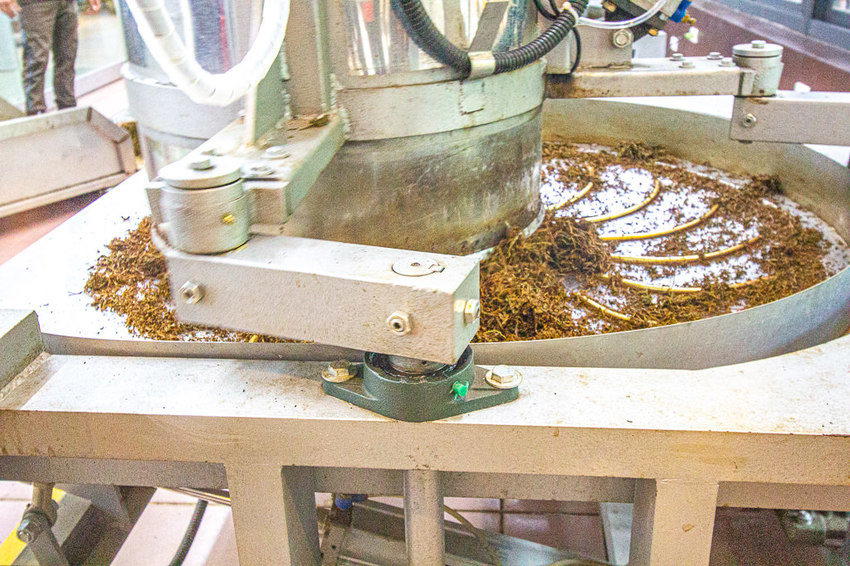 南投景點，HOHOCHA喝喝茶~台灣香日月潭紅茶廠，全台最大紅茶觀光工廠!免門票入園奉茶，吃吃喝喝DIY，還能拍拍美照很不賴。 - 微笑Joe幸運