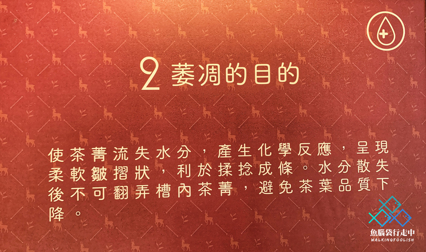 魚腦袋行走中_南投景點_喝喝茶 (18).jpg