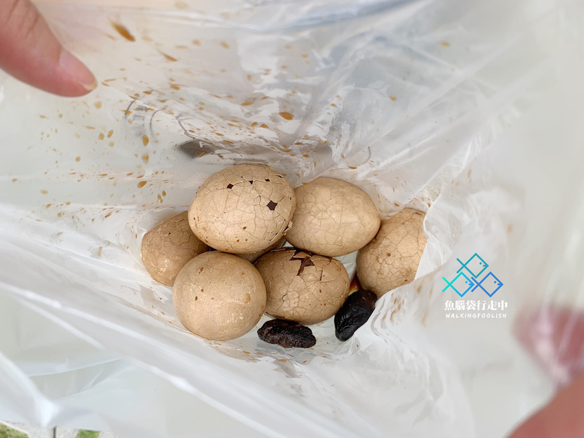 魚腦袋行走中_南投景點_喝喝茶 (1).jpg