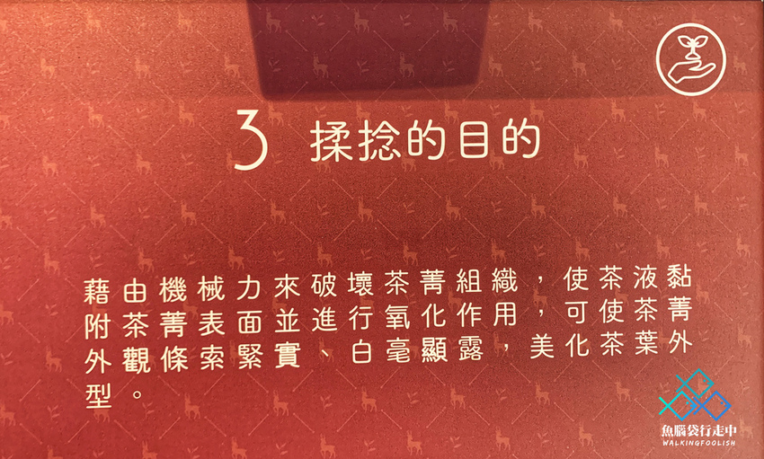 魚腦袋行走中_南投景點_喝喝茶 (19).jpg