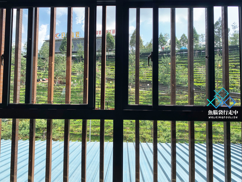 魚腦袋行走中_南投景點_喝喝茶 (10).jpg