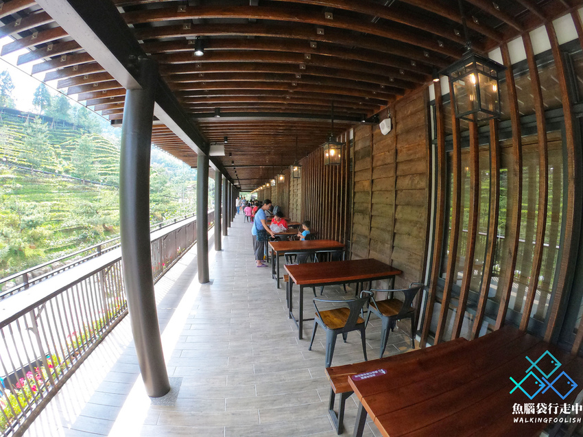 魚腦袋行走中_南投景點_喝喝茶 (2).jpg