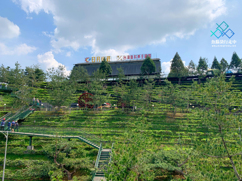 魚腦袋行走中_南投景點_喝喝茶 (8).jpg