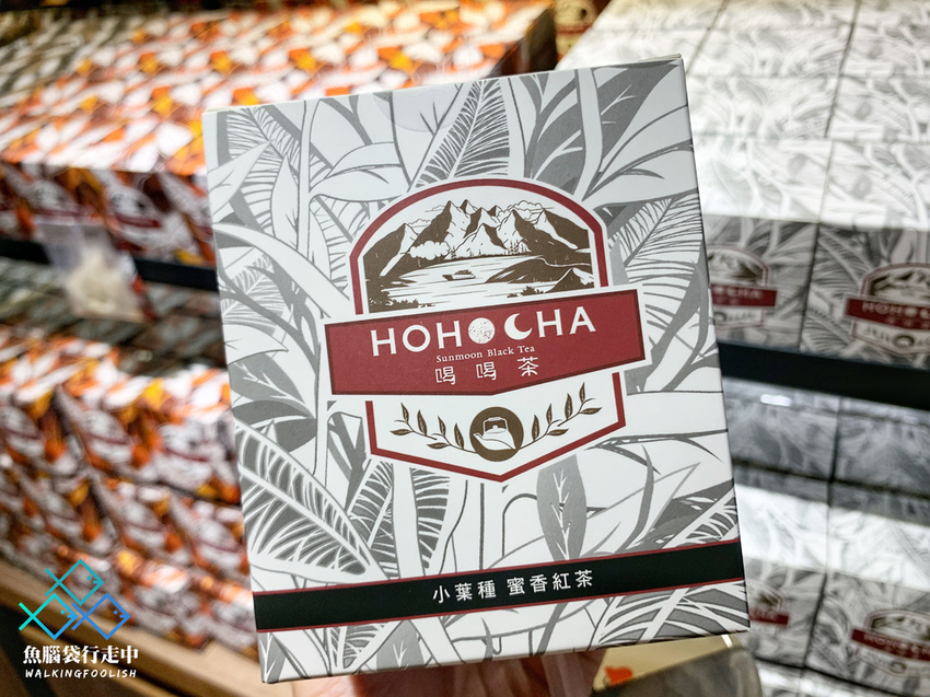 魚腦袋行走中_南投景點_喝喝茶 (25).jpg