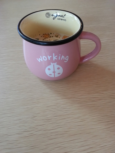 20140714_124016.jpg - 提姆胖胖