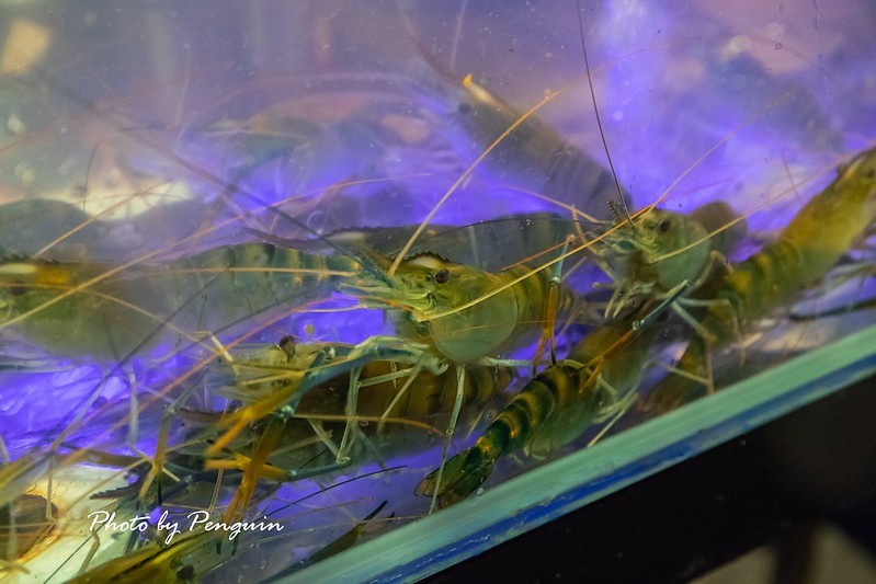 PhotoCap_131 PhotoCap_131