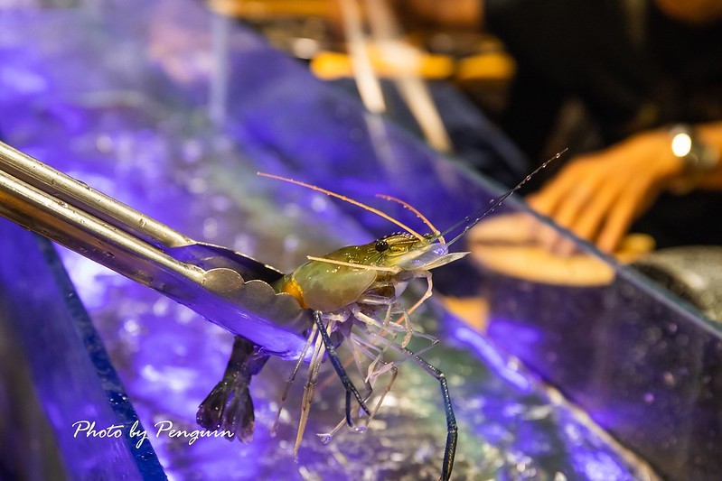 PhotoCap_047 PhotoCap_047