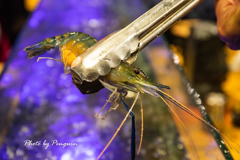 PhotoCap_048 PhotoCap_048