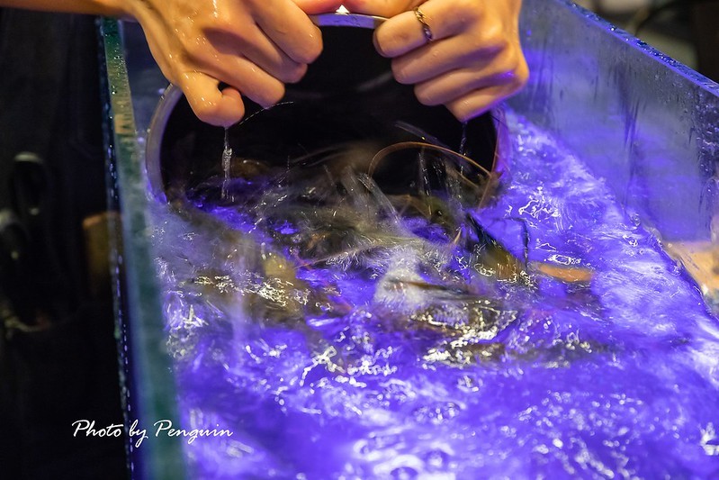 PhotoCap_130 PhotoCap_130