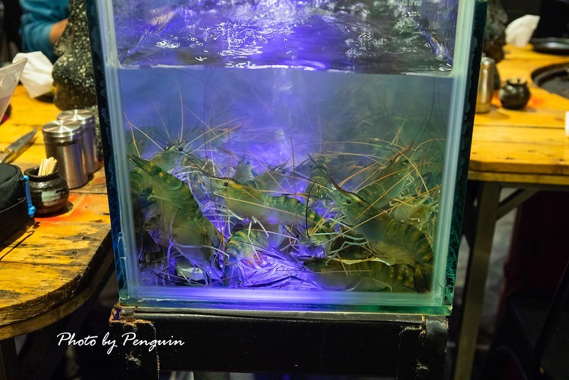 PhotoCap_019 PhotoCap_019