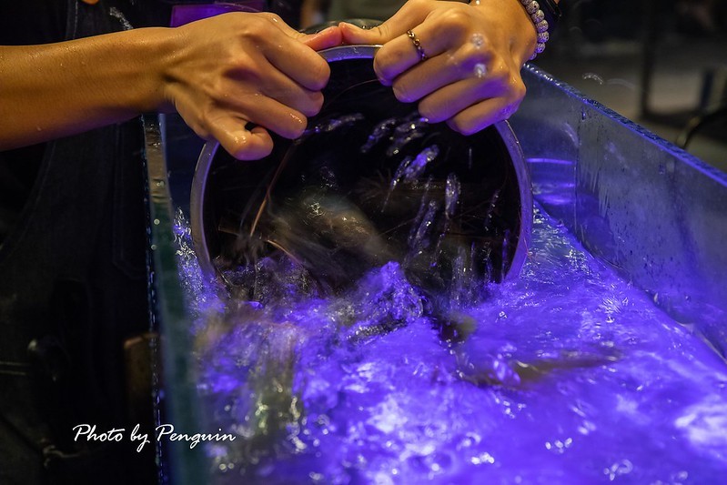 PhotoCap_129 PhotoCap_129