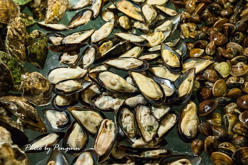 PhotoCap_016 PhotoCap_016