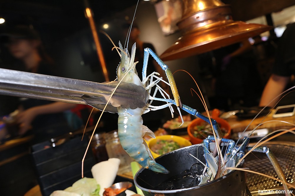 台南燒烤｜Scream 尖叫精緻炭火燒肉~療癒系燒肉!一秒置身水族館吃燒肉!!台南最狂水道蝦!真正現撈現烤的泰國蝦、海鮮燒肉、鐵板燒吃到飽!! - 台南好Food遊