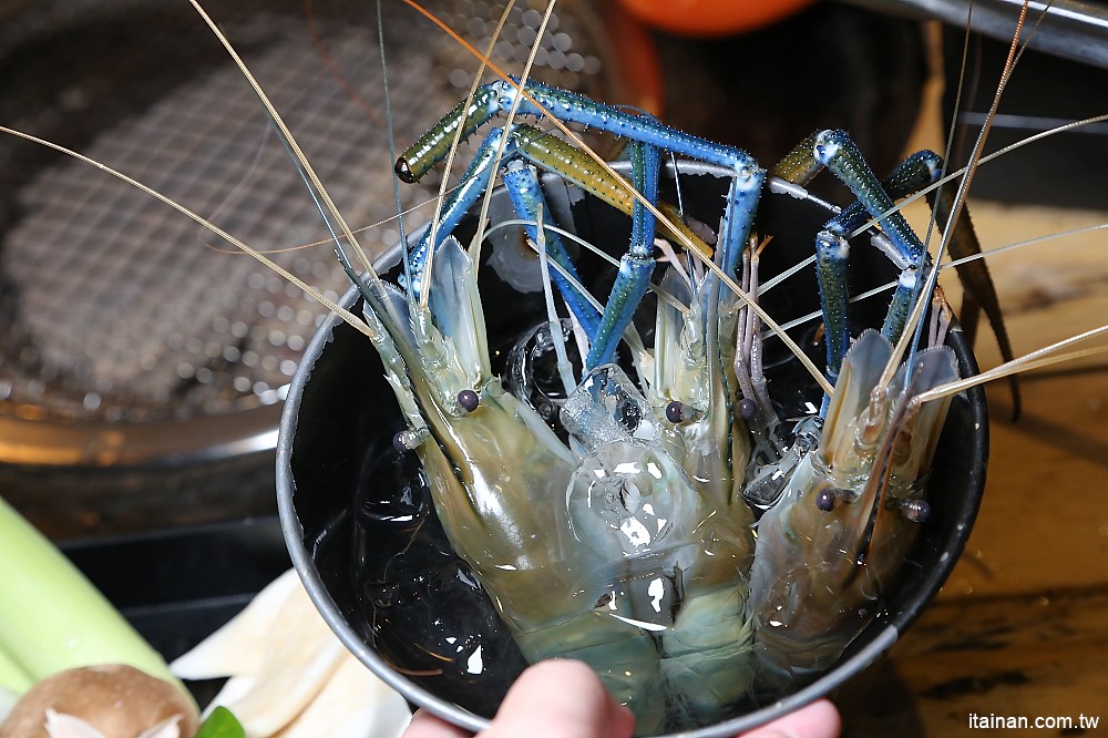 台南燒烤｜Scream 尖叫精緻炭火燒肉~療癒系燒肉!一秒置身水族館吃燒肉!!台南最狂水道蝦!真正現撈現烤的泰國蝦、海鮮燒肉、鐵板燒吃到飽!! - 台南好Food遊