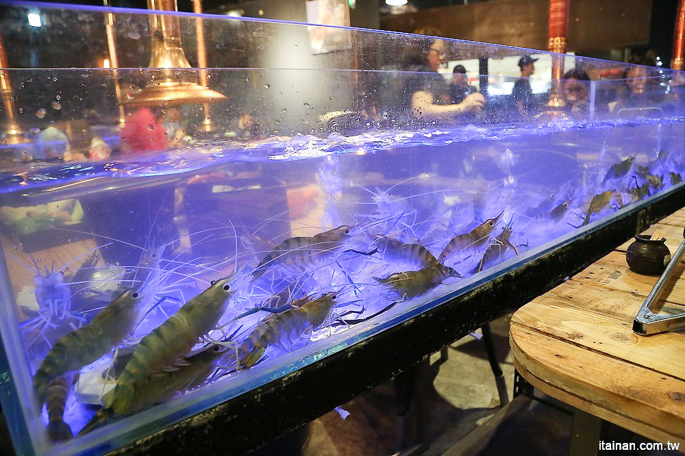 台南燒烤｜Scream 尖叫精緻炭火燒肉~療癒系燒肉!一秒置身水族館吃燒肉!!台南最狂水道蝦!真正現撈現烤的泰國蝦、海鮮燒肉、鐵板燒吃到飽!! - 台南好Food遊