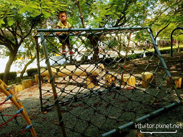 善化體育公園遊戲場9.jpg