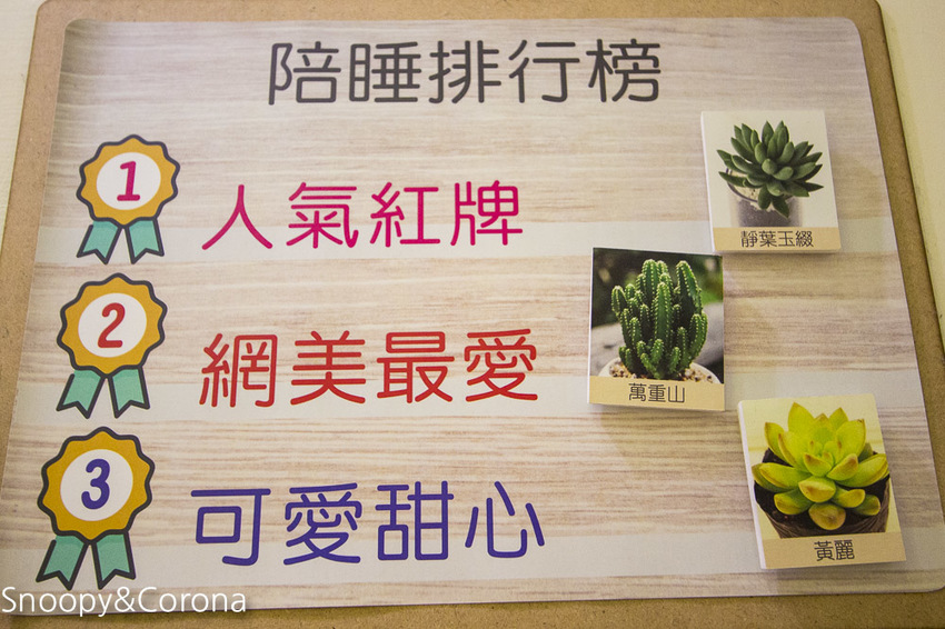 【台中住宿】逢甲親子住宿｜葉綠宿旅館Green Hotel～步行5分鐘到逢夜市，親子房有廚房玩具，13米高植生牆、陪睡小盆栽紓壓療癒