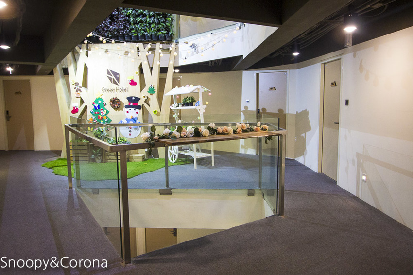 【台中住宿】逢甲親子住宿｜葉綠宿旅館Green Hotel～步行5分鐘到逢夜市，親子房有廚房玩具，13米高植生牆、陪睡小盆栽紓壓療癒