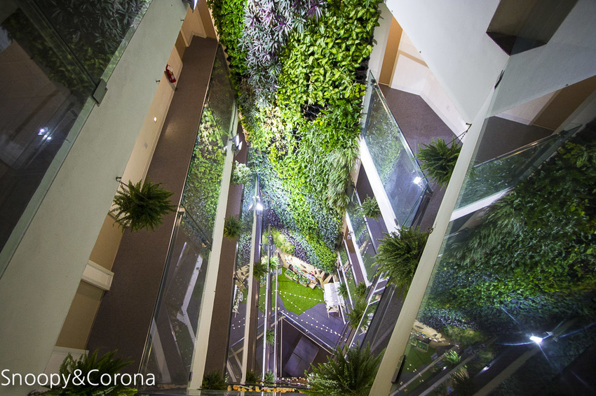 【台中住宿】逢甲親子住宿｜葉綠宿旅館Green Hotel～步行5分鐘到逢夜市，親子房有廚房玩具，13米高植生牆、陪睡小盆栽紓壓療癒