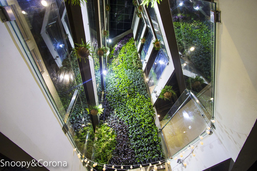 【台中住宿】逢甲親子住宿｜葉綠宿旅館Green Hotel～步行5分鐘到逢夜市，親子房有廚房玩具，13米高植生牆、陪睡小盆栽紓壓療癒