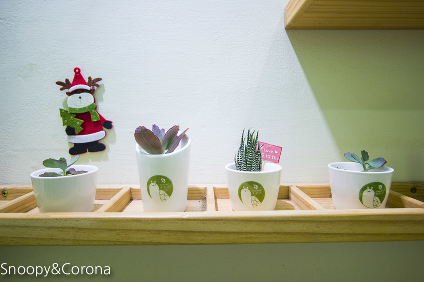 【台中住宿】逢甲親子住宿｜葉綠宿旅館Green Hotel～步行5分鐘到逢夜市，親子房有廚房玩具，13米高植生牆、陪睡小盆栽紓壓療癒