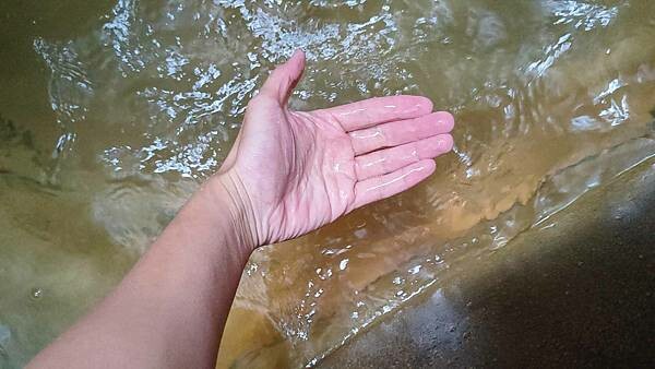 【台北溫泉】七窟溫泉餐廳｜１００元湯屋，陽明山裡的隱藏版溫泉，還有脆皮雞必吃！