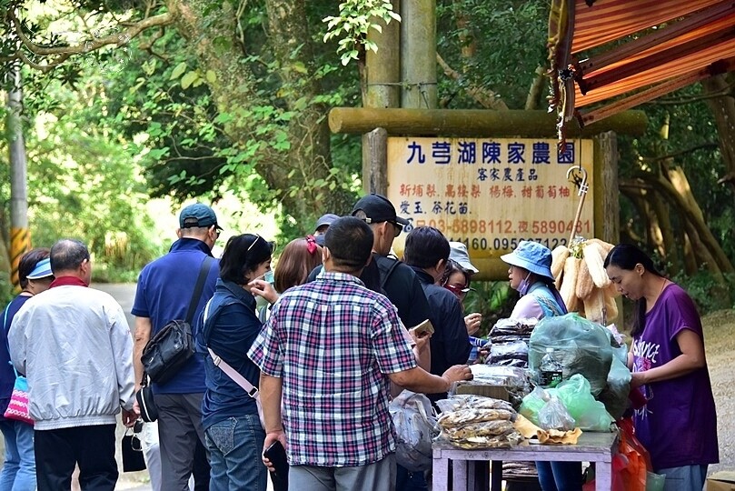 九芎湖陳家農園