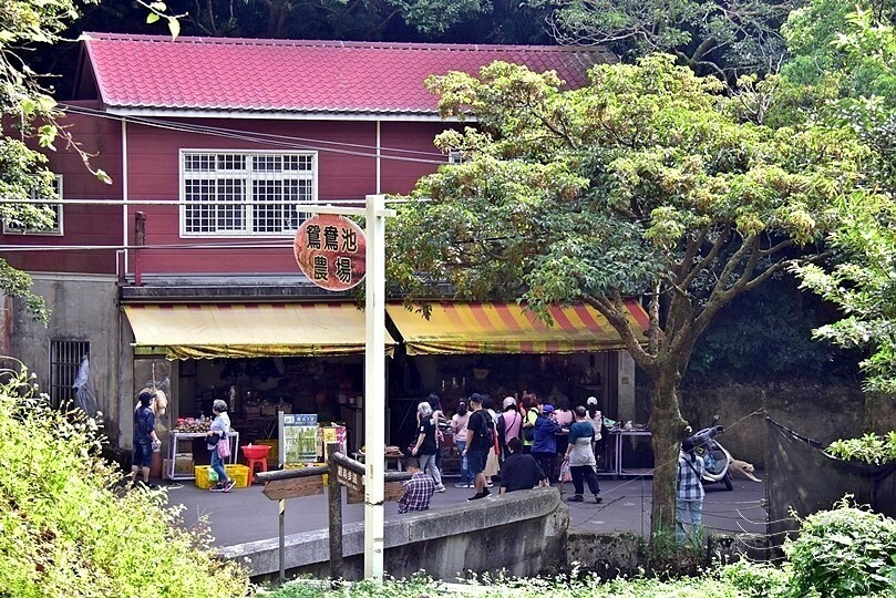 九芎湖陳家農園