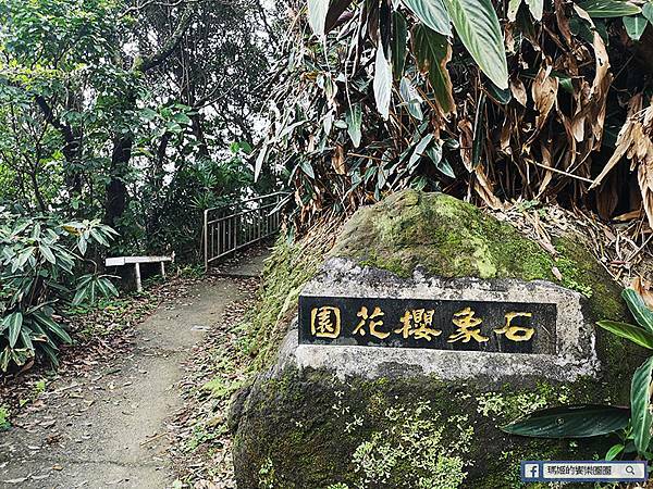 基隆賞櫻景點【2021基隆紅淡山賞櫻】低海拔小百岳輕鬆爬山健行路線推薦/欣賞基隆五大美景 基隆賞櫻景點【2021基隆紅淡山賞櫻】低海拔小百岳輕鬆爬山健行路線推薦/欣賞基隆五大美景