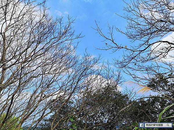 基隆賞櫻景點【2021基隆紅淡山賞櫻】低海拔小百岳輕鬆爬山健行路線推薦/欣賞基隆五大美景 基隆賞櫻景點【2021基隆紅淡山賞櫻】低海拔小百岳輕鬆爬山健行路線推薦/欣賞基隆五大美景