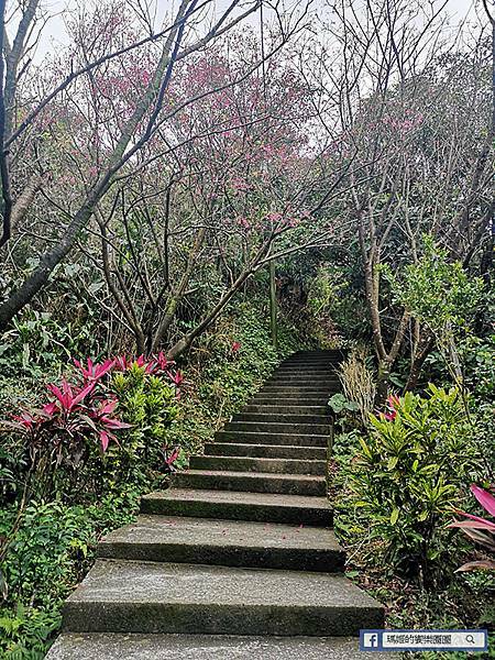 基隆賞櫻景點【2021基隆紅淡山賞櫻】低海拔小百岳輕鬆爬山健行路線推薦/欣賞基隆五大美景 基隆賞櫻景點【2021基隆紅淡山賞櫻】低海拔小百岳輕鬆爬山健行路線推薦/欣賞基隆五大美景