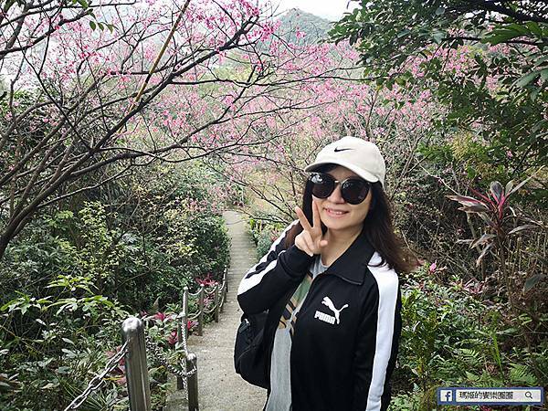 基隆賞櫻景點【2021基隆紅淡山賞櫻】低海拔小百岳輕鬆爬山健行路線推薦/欣賞基隆五大美景 基隆賞櫻景點【2021基隆紅淡山賞櫻】低海拔小百岳輕鬆爬山健行路線推薦/欣賞基隆五大美景