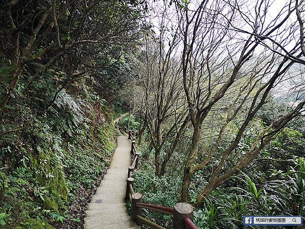 基隆賞櫻景點【2021基隆紅淡山賞櫻】低海拔小百岳輕鬆爬山健行路線推薦/欣賞基隆五大美景 基隆賞櫻景點【2021基隆紅淡山賞櫻】低海拔小百岳輕鬆爬山健行路線推薦/欣賞基隆五大美景