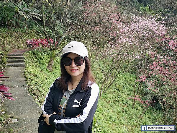 基隆賞櫻景點【2021基隆紅淡山賞櫻】低海拔小百岳輕鬆爬山健行路線推薦/欣賞基隆五大美景 基隆賞櫻景點【2021基隆紅淡山賞櫻】低海拔小百岳輕鬆爬山健行路線推薦/欣賞基隆五大美景