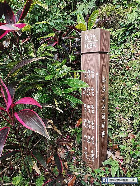 基隆賞櫻景點【2021基隆紅淡山賞櫻】低海拔小百岳輕鬆爬山健行路線推薦/欣賞基隆五大美景 基隆賞櫻景點【2021基隆紅淡山賞櫻】低海拔小百岳輕鬆爬山健行路線推薦/欣賞基隆五大美景