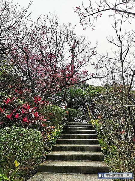 基隆賞櫻景點【2021基隆紅淡山賞櫻】低海拔小百岳輕鬆爬山健行路線推薦/欣賞基隆五大美景 基隆賞櫻景點【2021基隆紅淡山賞櫻】低海拔小百岳輕鬆爬山健行路線推薦/欣賞基隆五大美景